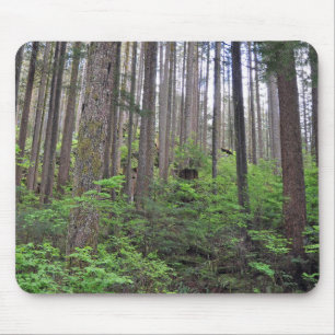 Beautiful rainforest     mouse pad
