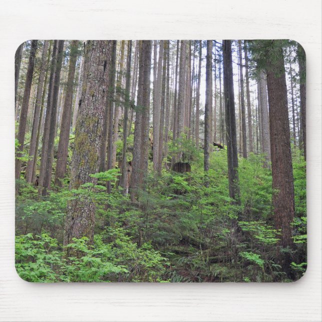 Beautiful rainforest     mouse pad (Front)