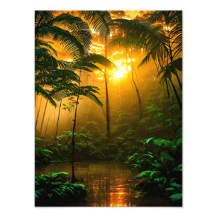 Beautiful rainforest with sunset photo print