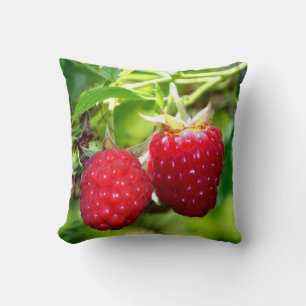 Beautiful raspberries red wild berries  cushion