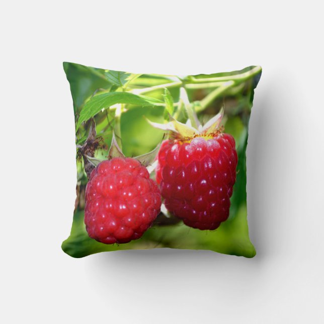 Beautiful raspberries red wild berries  cushion (Front)