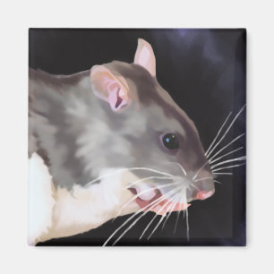 Beautiful Rat Painting Magnet