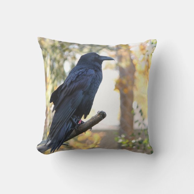 Beautiful Raven Perched On Branch Throw Pillow (Front)