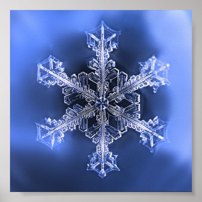 Beautiful Real Snowflake Blue and White Poster (Front)