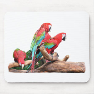 beautiful red and blue parrots mouse pad