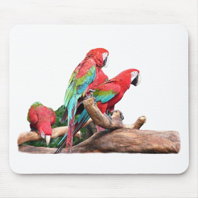beautiful red and blue parrots mouse pad (Front)