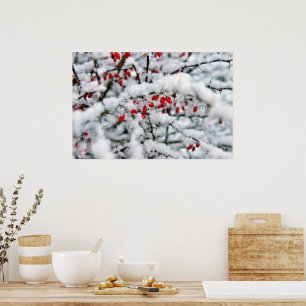 Beautiful red berries and snow poster