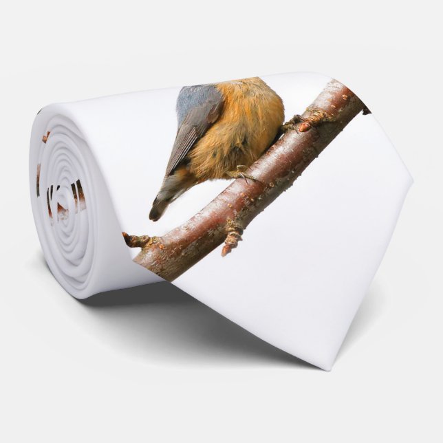 Beautiful Red-Breasted Nuthatch on a Branch Tie (Rolled)