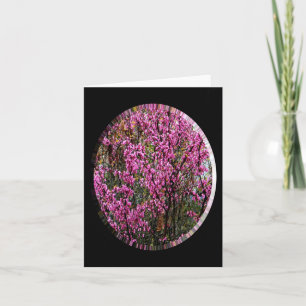 Beautiful Red Bud tree..... Card