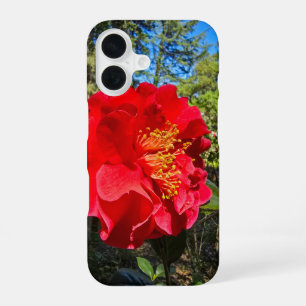 beautiful red Camellia flowers at Descanso Gardens iPhone 16 Case