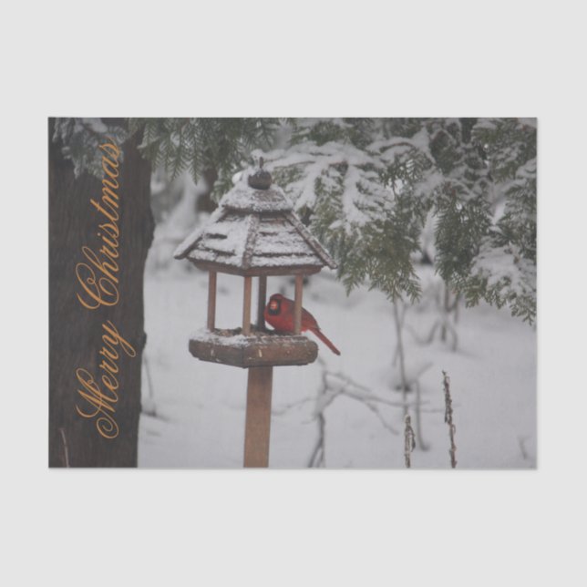 Beautiful Red Cardinal Christmas Tissue Paper (Front)