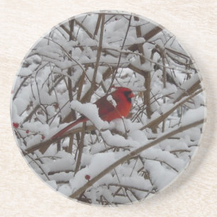 Beautiful Red Cardinal in Snow Filled Tree Coaster