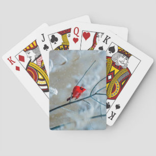 Beautiful Red Cardinal in the Snow Playing Cards