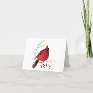 Beautiful Red Cardinal Note Card