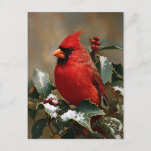 Beautiful Red Cardinal on Snowy Holly Postcard