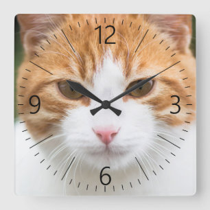 Beautiful red cat square wall clock