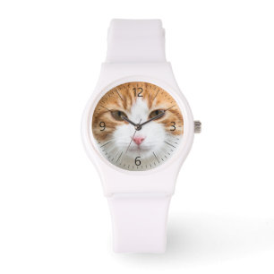 Beautiful red cat watch