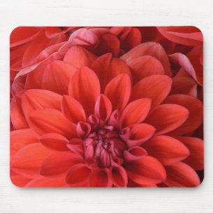 Beautiful red dahlia flowers mouse pad