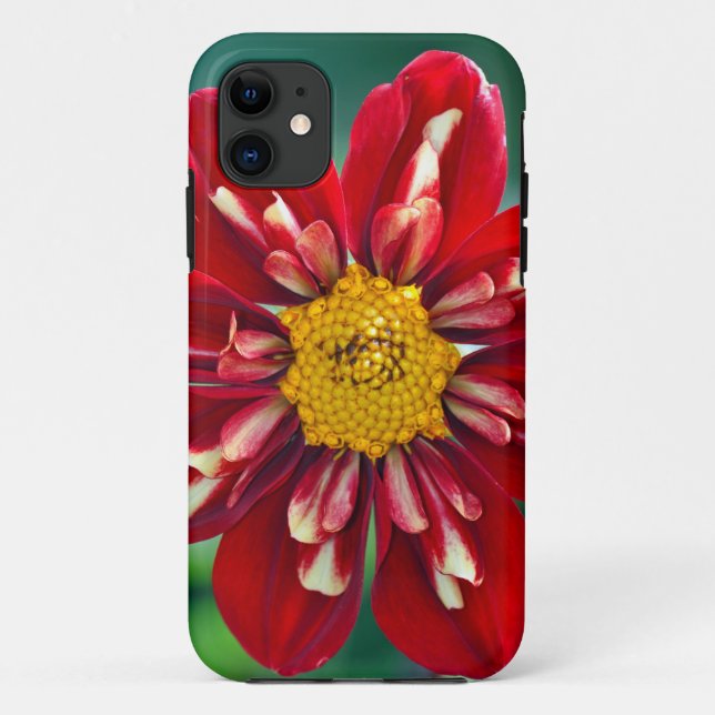 Beautiful red dahlia print phone case (Back)