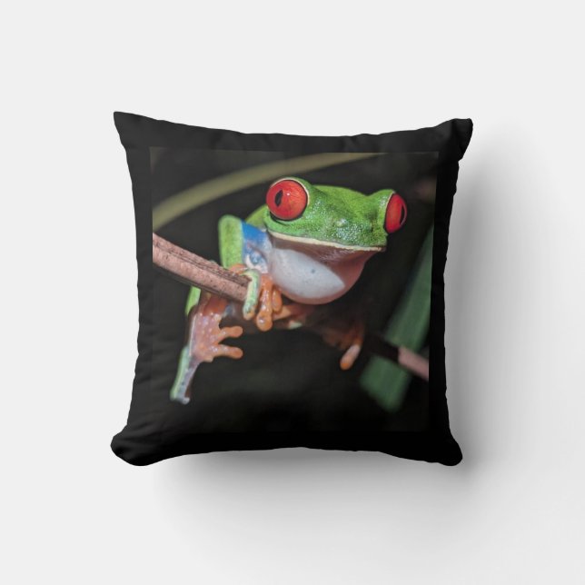 Beautiful Red Eyed Tree Frog on a Branch Cushion (Front)