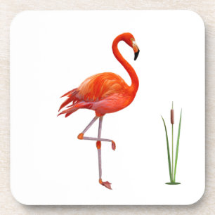 Beautiful Red Flamingo Bird & Reed Plant on White Coaster