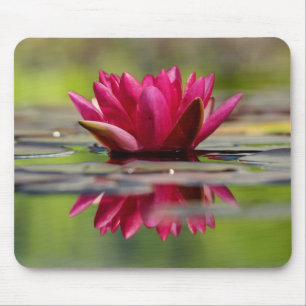 Beautiful Red Floating Water Lily Mouse Pad