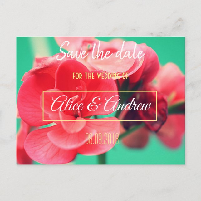 Beautiful Red Flowers Save the Date Postcard (Front)