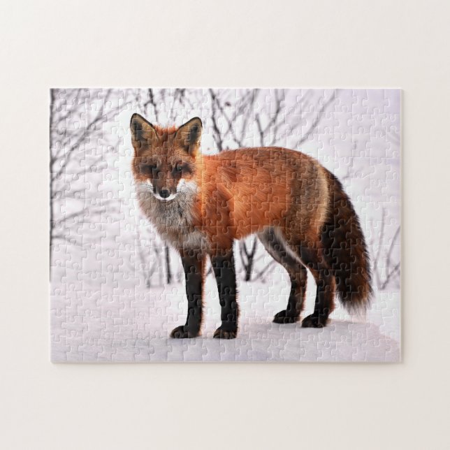 Beautiful Red Fox in the forest, Jigsaw Puzzle (Horizontal)