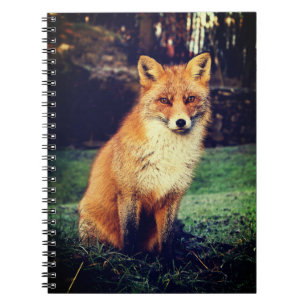 Beautiful Red Fox Notebook