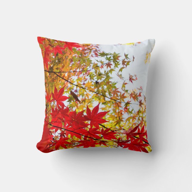 Beautiful Red Leaves Changing Colour Cushion (Front)