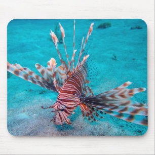 Beautiful Red Lion Fish Mouse Pad