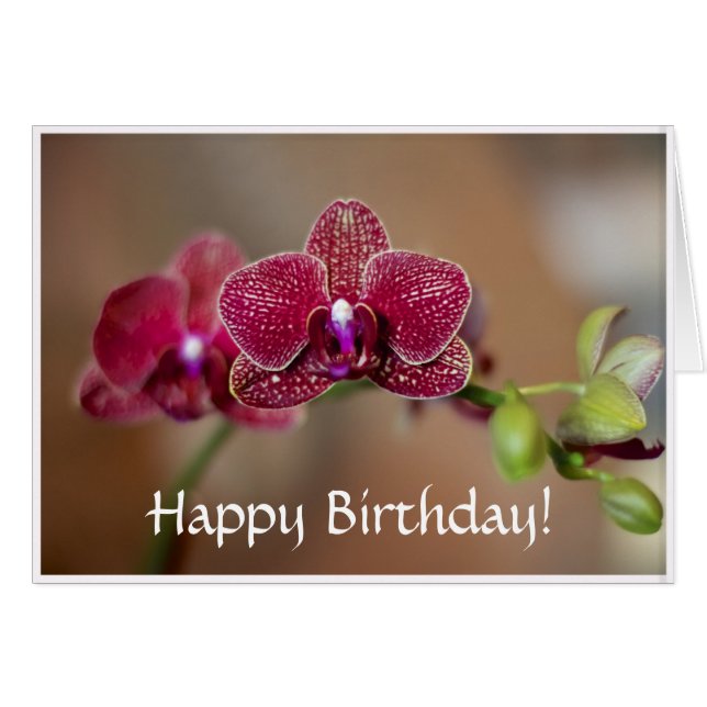 Beautiful Red Orchid (Front Horizontal)