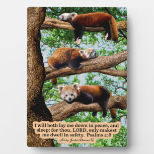 Beautiful Red Panda Scripture  Psalms 4:8 Plaque