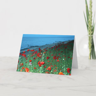 Beautiful Red Poppies Southwold Seafront Photo Card