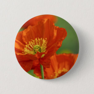 Beautiful Red Poppy 6 Cm Round Badge
