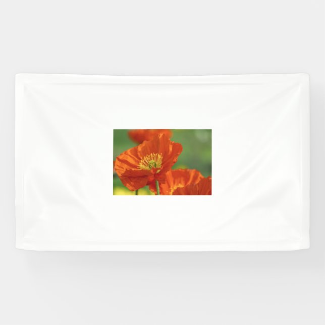 Beautiful Red Poppy Banner (Horizontal)