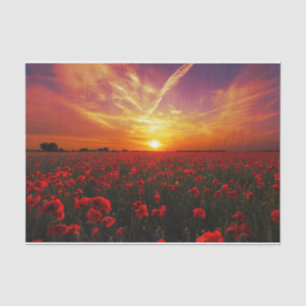 Beautiful red poppy flower field sunset tissue paper