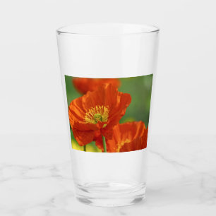 Beautiful Red Poppy Glass