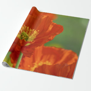 Beautiful Red Poppy Wrapping Paper