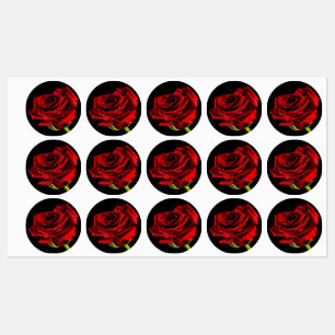 Beautiful red rose