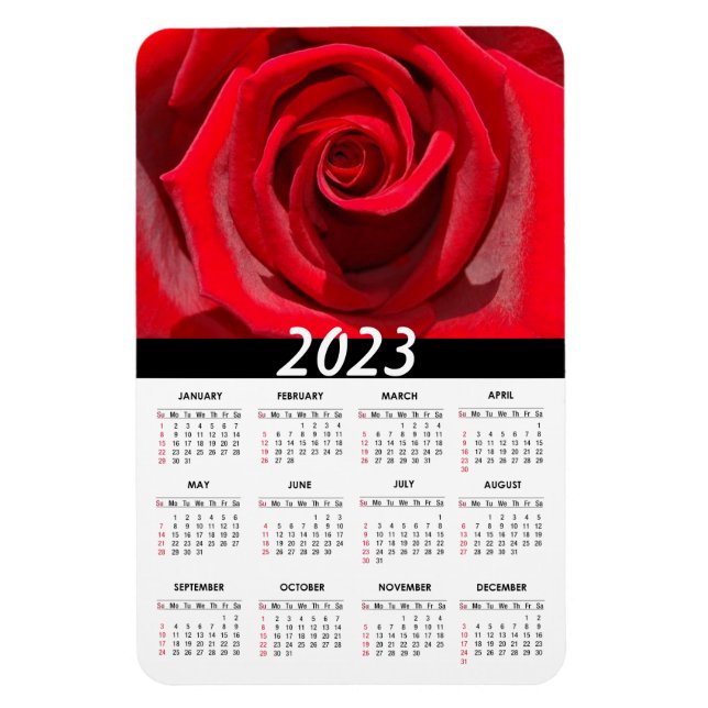 Beautiful Red Rose | 2023 Floral Calendar Magnet (Vertical)