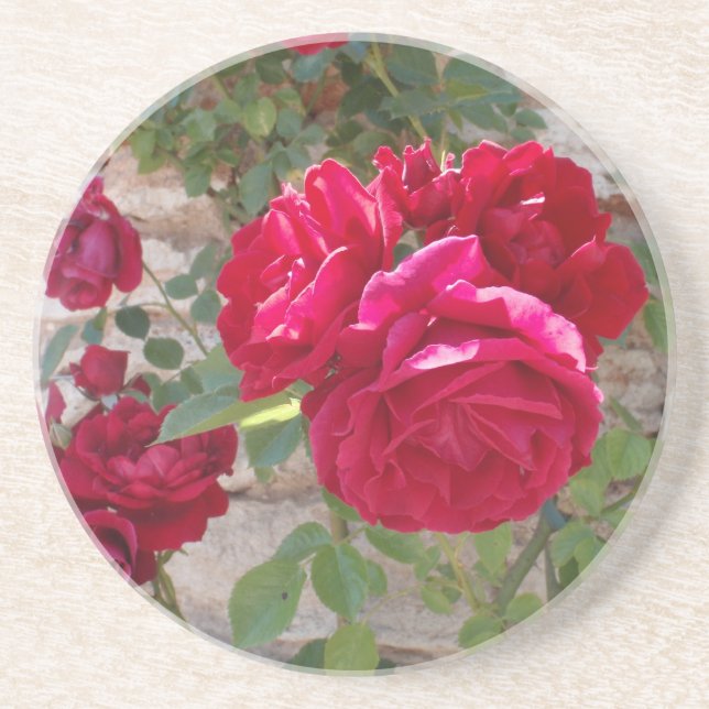Beautiful Red Rose Coaster (Front)