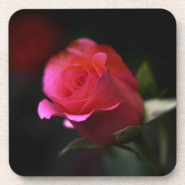 Beautiful Red Rose Coaster (Front)