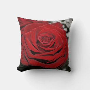 Beautiful Red Rose Cushion