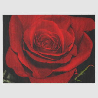 Beautiful Red Rose Flower Floral Photo Tissue Paper