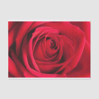 Beautiful Red Rose Flower Tissue Paper