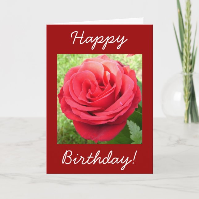 Beautiful Red Rose Happy Birthday Card (Front)