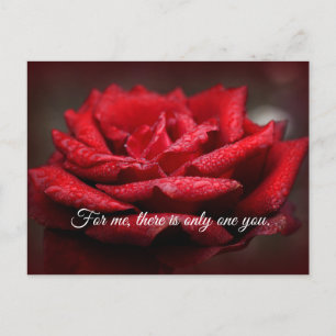 Beautiful Red Rose Postcard  Customisable Message