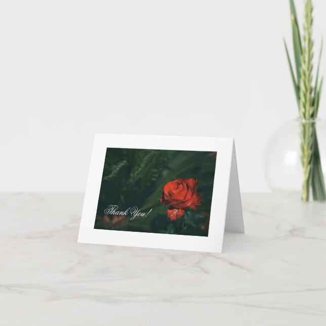 Beautiful Red Rose Thank You Card (Front)