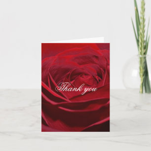 Beautiful Red Rose Thank you Card